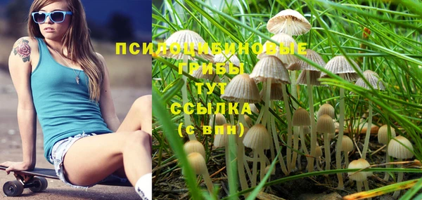 MDMA Нязепетровск