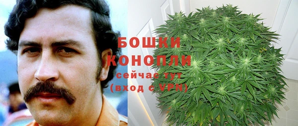 альфа пвп Няндома
