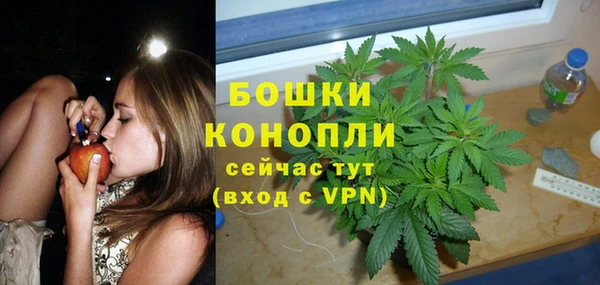 ALPHA PVP Нягань