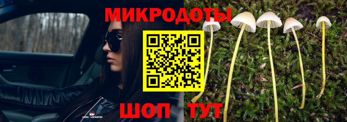 Реж  хочу наркоту  Вход с VPN  Псилоцибиновые грибы ЛСД 